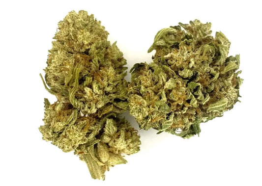 20$ 3.5G Multiple trains