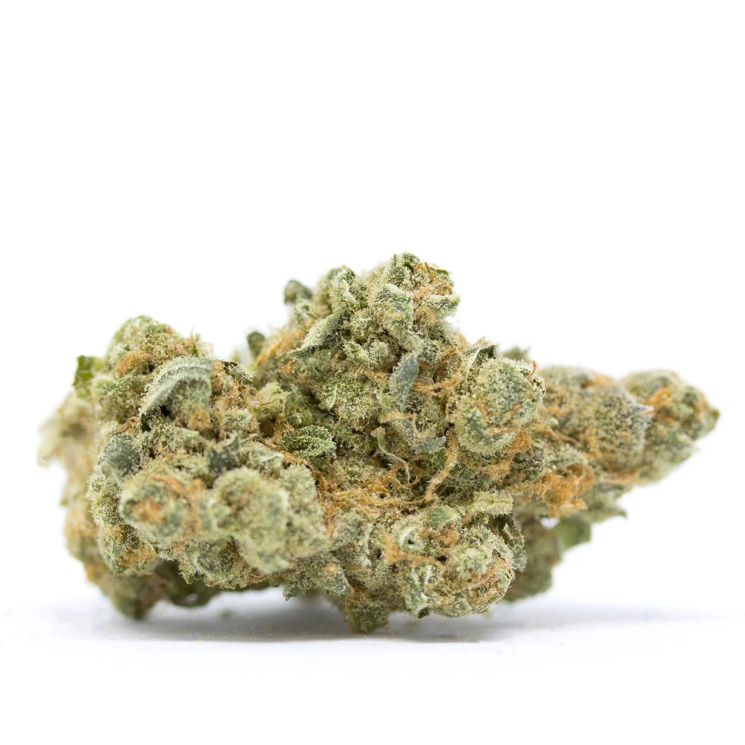 20$ 3.5G Multiple trains