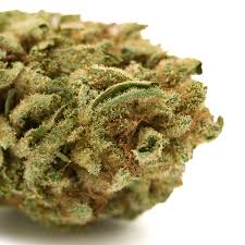 20$ 3.5G Multiple trains