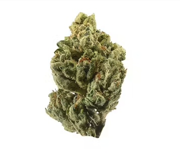 Sherbert 60.00$ 1/2 OZ