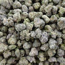 Bubble Gum ( SMALLS )