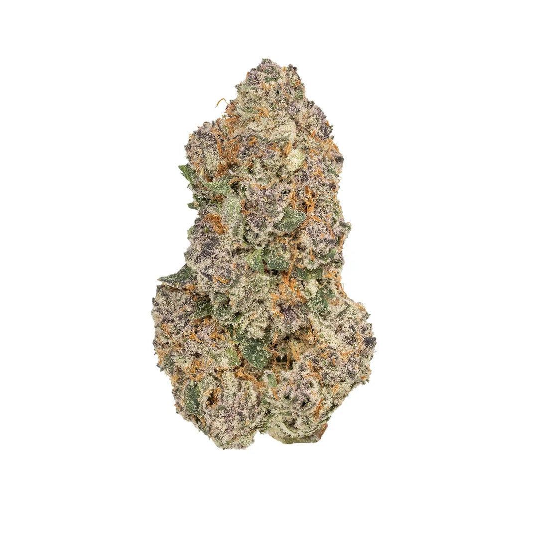 Cherry Gastro Top Shelf